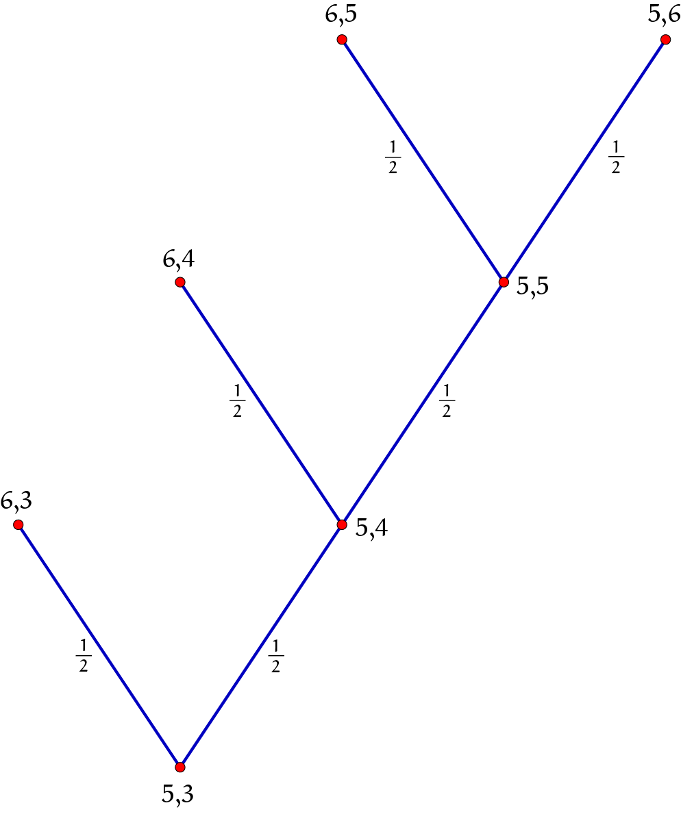 pythagoras-63-1-antwoorden-je-kan-de-boom-in